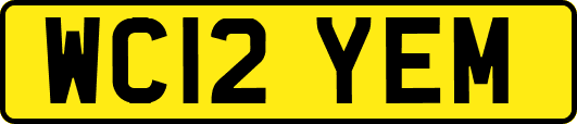 WC12YEM
