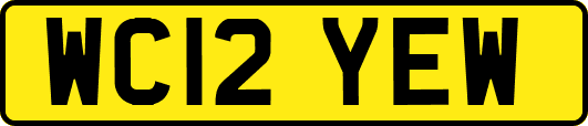 WC12YEW