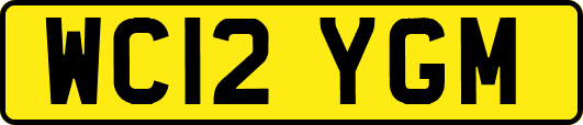 WC12YGM