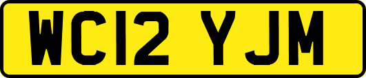 WC12YJM