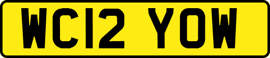 WC12YOW