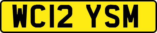 WC12YSM