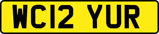 WC12YUR