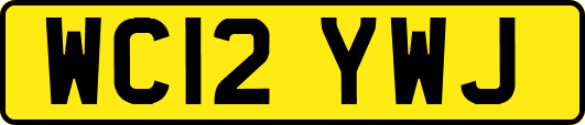 WC12YWJ