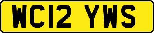 WC12YWS