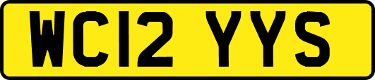 WC12YYS
