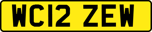 WC12ZEW