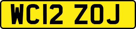 WC12ZOJ