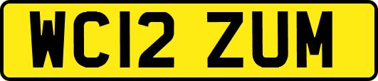 WC12ZUM