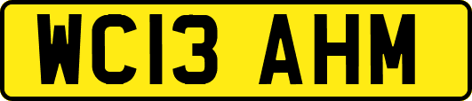 WC13AHM