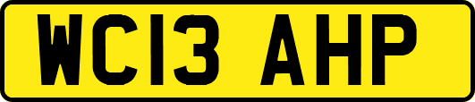 WC13AHP