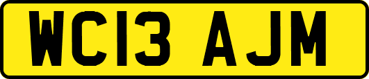 WC13AJM