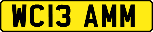 WC13AMM