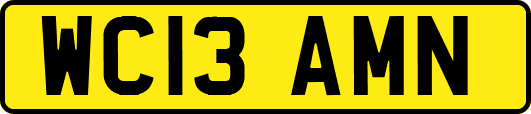 WC13AMN