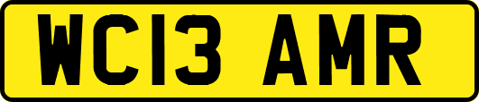 WC13AMR