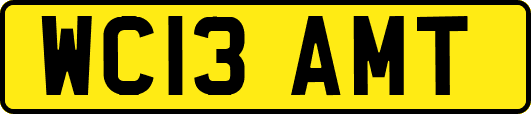 WC13AMT