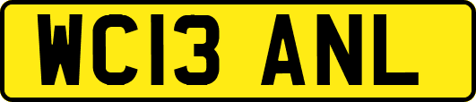 WC13ANL