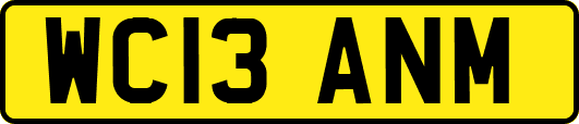 WC13ANM
