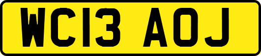 WC13AOJ