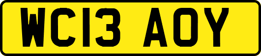 WC13AOY