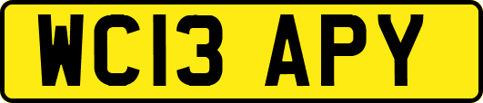 WC13APY