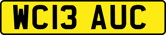 WC13AUC