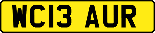 WC13AUR