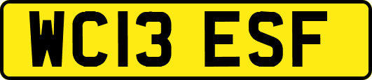 WC13ESF
