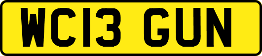 WC13GUN