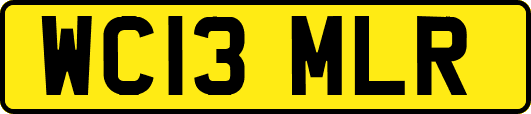 WC13MLR