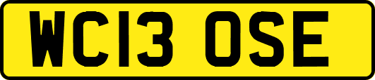 WC13OSE