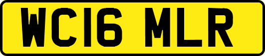 WC16MLR