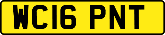 WC16PNT