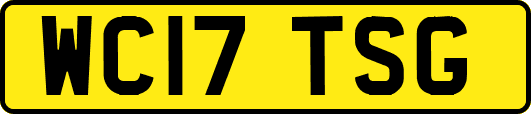 WC17TSG