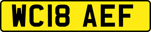 WC18AEF