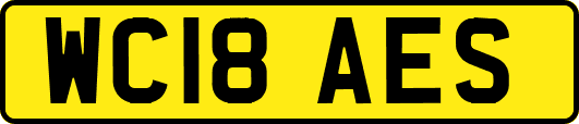 WC18AES