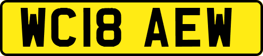 WC18AEW