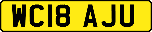 WC18AJU