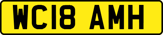 WC18AMH