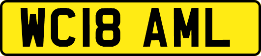 WC18AML