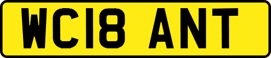 WC18ANT