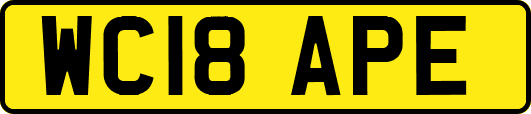 WC18APE