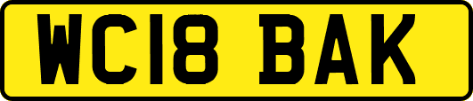 WC18BAK
