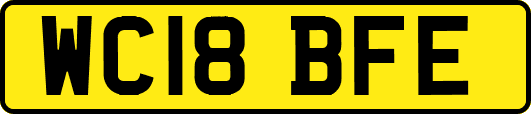 WC18BFE