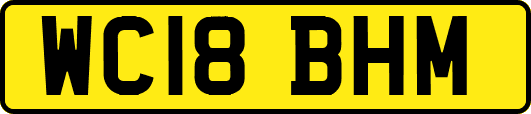 WC18BHM