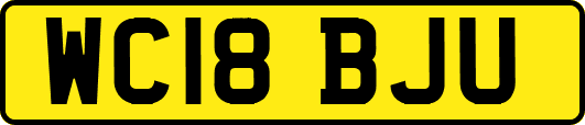 WC18BJU