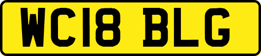 WC18BLG