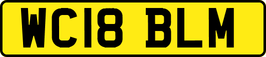 WC18BLM