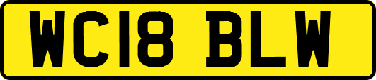 WC18BLW