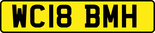 WC18BMH